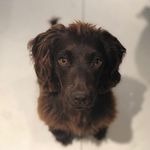 Coco Byers - @gingerbitchbyers - Instagram