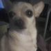 Ginger Cagle - Facebook