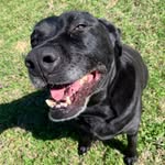 Ginger Calhoun - @calhounginger - Instagram