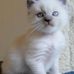 Ginger Casper - Facebook