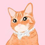 Ginger Cat 🌿 - @casper_thegingercat - Instagram