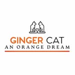 Ginger cat - @ginger_cat_orginal - Instagram