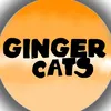 GINGER CATS - @gingercat_offical - TikTok