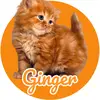 GingerCato0 - @gingercato0 - TikTok