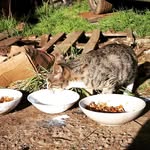 Chloe_Ginger_Charles - @chloe_ginger_charles - Instagram