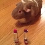 Ginger R - @ginger_charles1 - Instagram