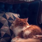 Ginger Cleary - Facebook