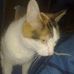Ginger Connelly - Facebook