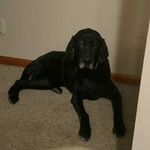 Ginger Connelly Washburn - @gingerconnellywashburn - Instagram