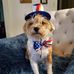 Ginger Connelly Washburn - Facebook