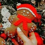 کوکی زنجبیلی | جینجرکوکی - @ginger.cookiee - Instagram