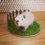 *ginger_cookie* - @ginger_cookie_2008 - Instagram
