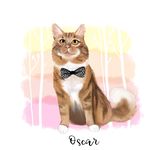 oscar.mainecoon - @oscar_gingercoon - Instagram