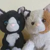Ginger Cornell - @gingiecat - TikTok