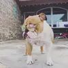 Ginger - @gingerthecouchpotato - TikTok