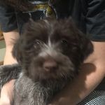 Ginger Craig - @gingercraig65 - Instagram