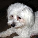 Ginger Crouse - Facebook
