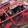 Ginger Murray - @ginger_murraypowersports - TikTok