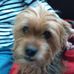 Ginger Dowler - Facebook