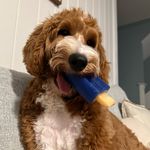 Ginger Dunn - @gingahdunn_ - Instagram
