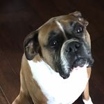 Ginger Dunn - @hatingonusernames - Instagram