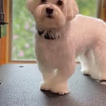 Ginger Durham Yerger - @gingfaye - Instagram