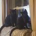 Ginger Ellingson - Facebook