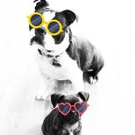 Farley&Ginger Moriarty - @farleynginger - Instagram