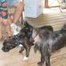 Ginger Finney - Facebook