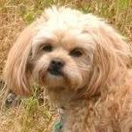 Ginger Fitzpatrick - Facebook
