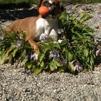 Ginger Fitzpatrick - Facebook
