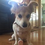 Ginger Floyd - @_ginger_floyd_ - Instagram
