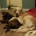 Ginger Floyd - Facebook