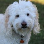 Ginger Floyd Whitted - @gingerwhitted - Instagram