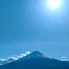 frosted_ginger - @frosted_ginger - TikTok