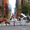 Ginger Frost - @ginger.frost8 - TikTok