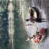 Ginger_220918 - @ginger_antifuchs - TikTok