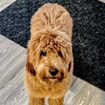 Ginger Gamble - @ginger_l_gamble - Instagram