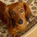 Ginger Glenn - Facebook