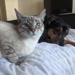 Ginger and Gordon - @gingerandgordon - Instagram