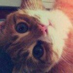 Ginger Gordon - @j9007 - Instagram
