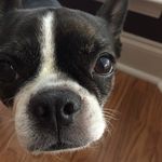 Ginger Gordon - @gingerg9 - Instagram