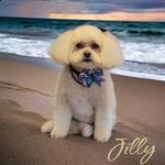 Ginger Horton Goss - @bling1962 - Instagram