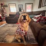 Ginger Rey Graham - @ginger_rey_graham - Instagram