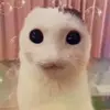 aubrey - @that.onegingeriguess - TikTok