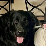 Ginger Gustafson - Facebook