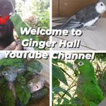 Ginger hall - @ginger__hall - Instagram
