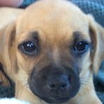 Ginger Hammond - @ginger_hammond_ - Instagram