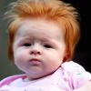 Gingery Hanson - @gingeryhanson - TikTok
