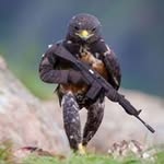 Ginger Hawk - @ginger.hawk.9440 - Instagram